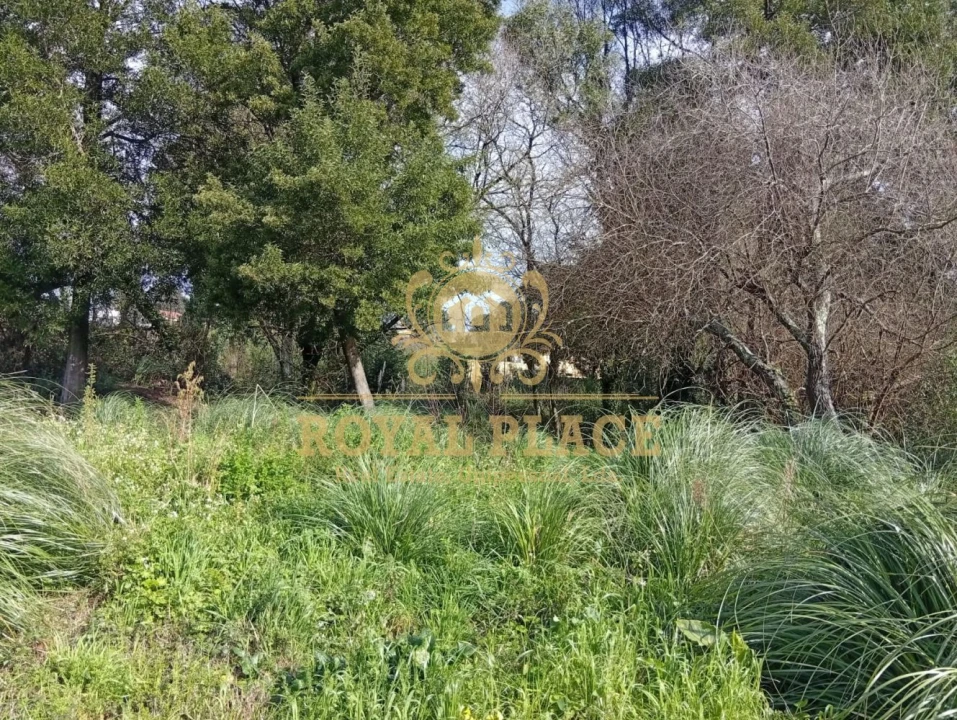 Terreno para Venda em Paços de Brandão Foto 9