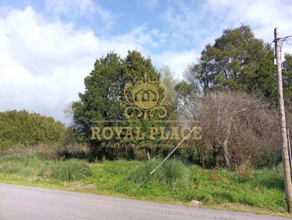 Terreno para Venda em Paços de Brandão Foto 11