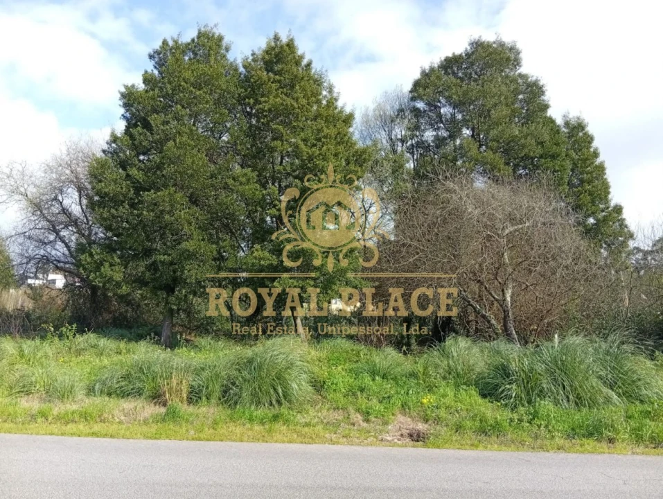 Terreno para Venda em Paços de Brandão Foto 5