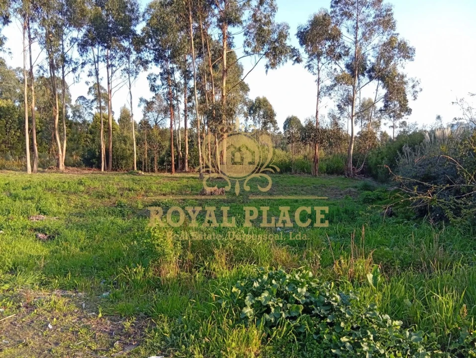 Terreno para Venda em Santa Maria de Lamas Foto 8