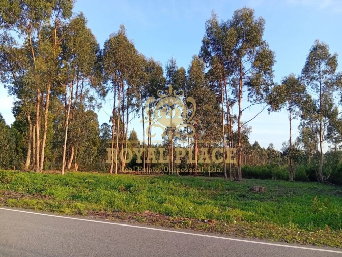 Terreno para Venda em Santa Maria de Lamas Foto 20