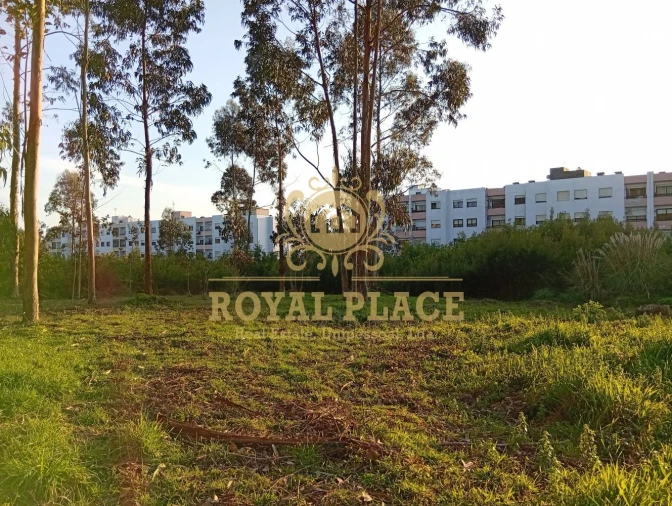 Terreno para Venda em Santa Maria de Lamas Foto 18