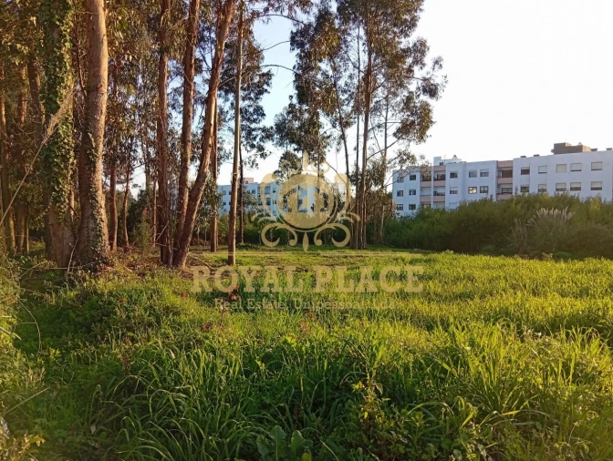 Terreno para Venda em Santa Maria de Lamas Foto 12