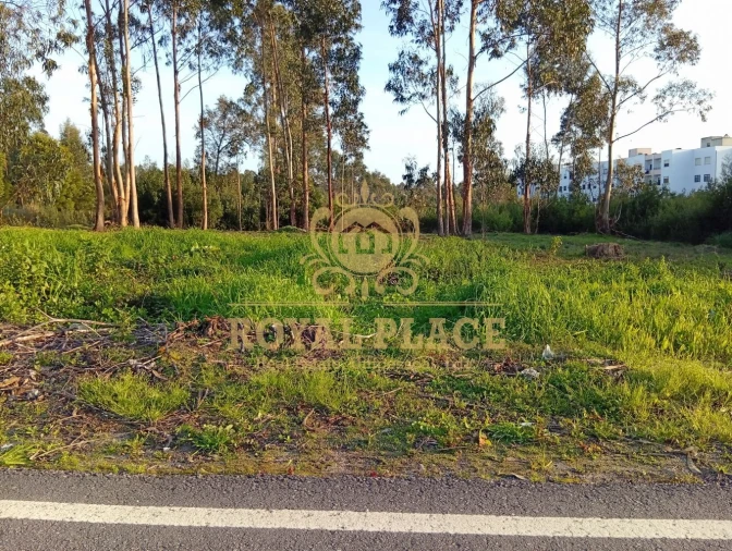 Terreno para Venda em Santa Maria de Lamas Foto 9