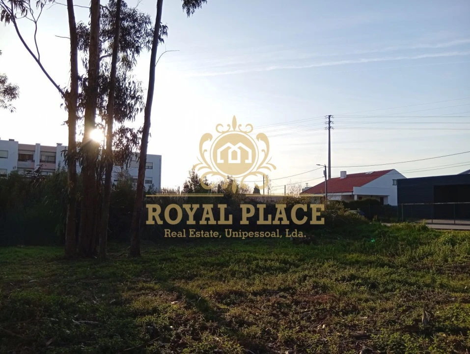 Terreno para Venda em Santa Maria de Lamas Foto 16