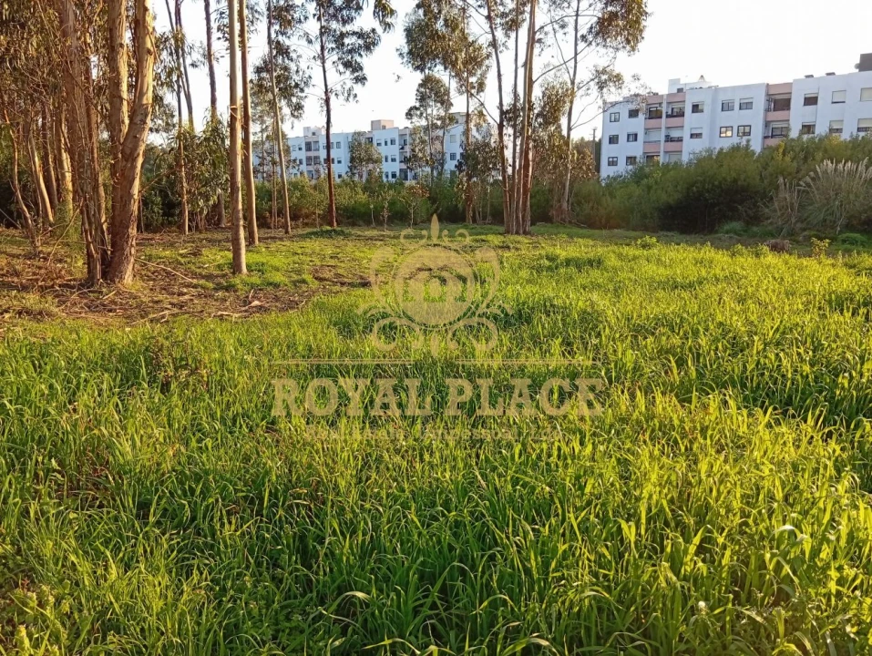 Terreno para Venda em Santa Maria de Lamas Foto 13