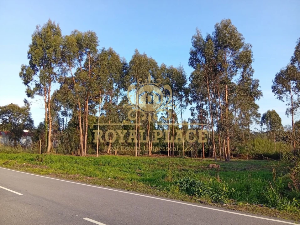 Terreno para Venda em Santa Maria de Lamas Foto 5