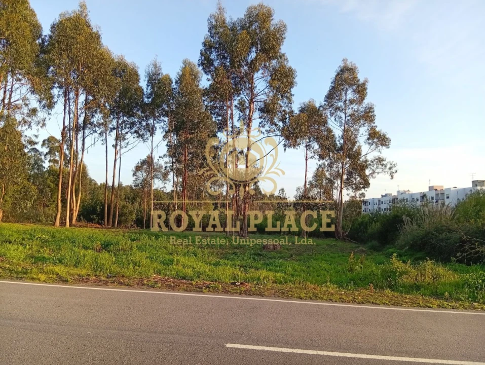 Terreno para Venda em Santa Maria de Lamas Foto 19