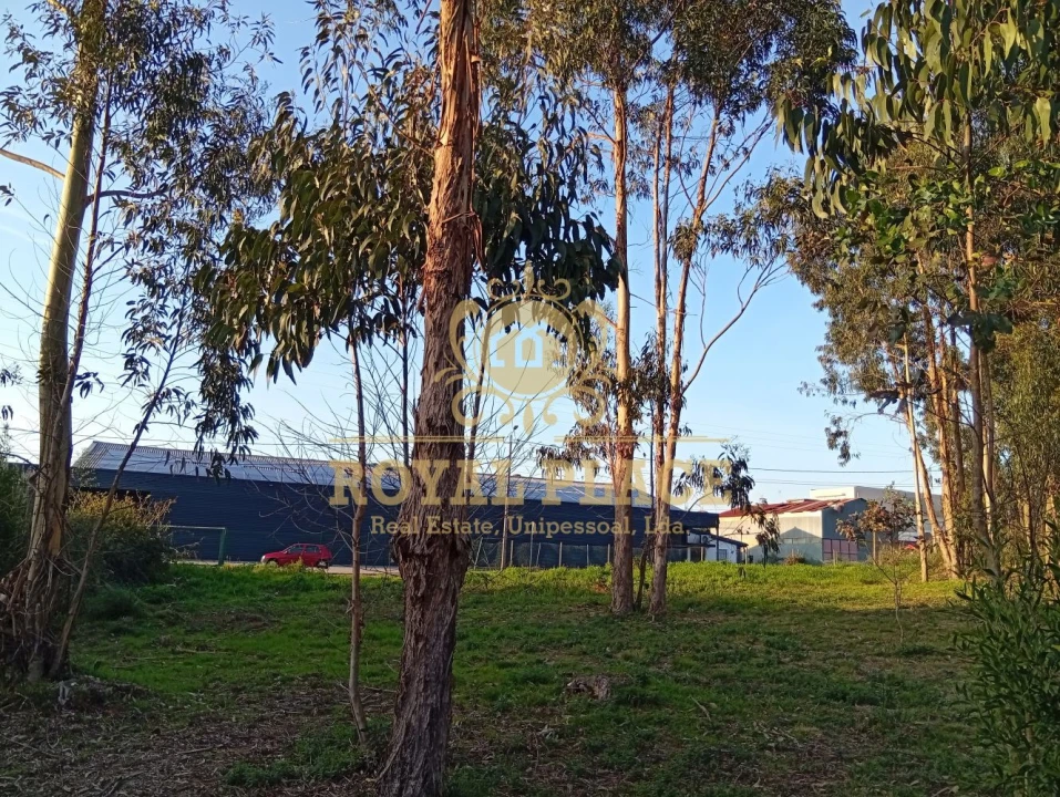 Terreno para Venda em Santa Maria de Lamas Foto 15