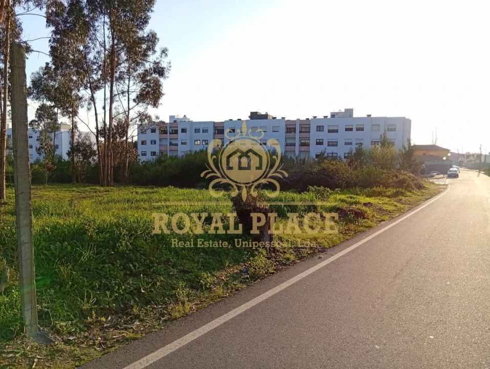 Terreno para Venda em Santa Maria de Lamas Foto 11