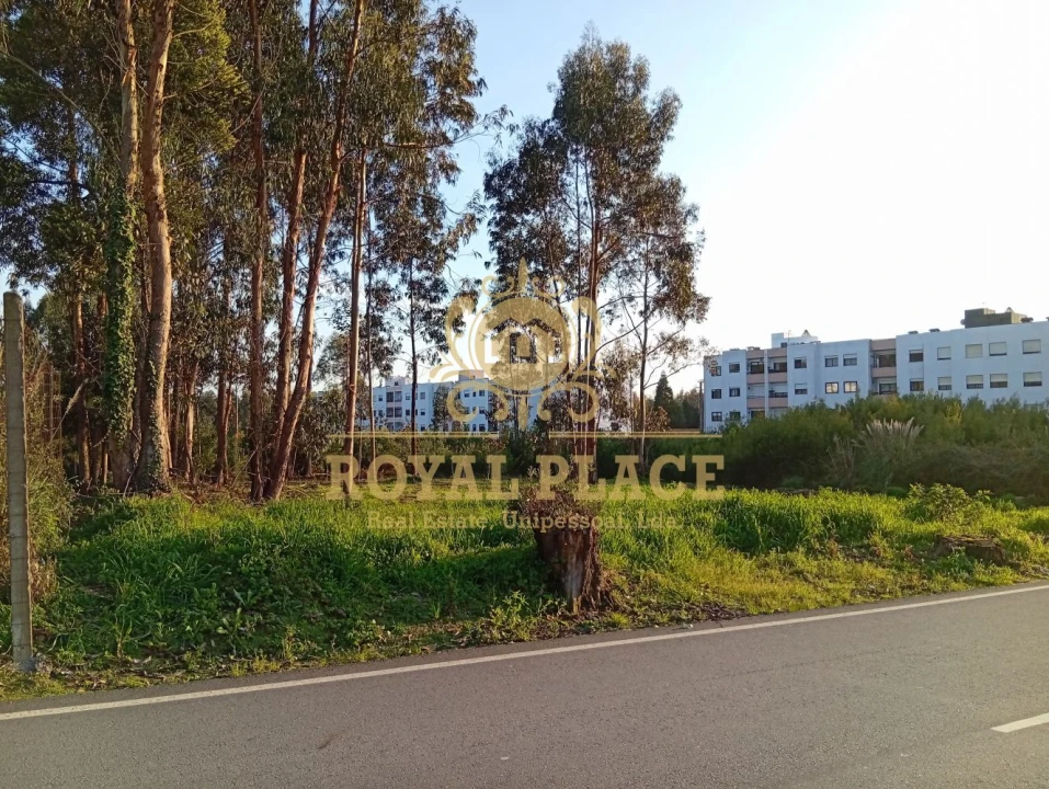 Terreno para Venda em Santa Maria de Lamas Foto 10