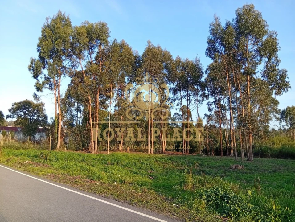 Terreno para Venda em Santa Maria de Lamas Foto 21
