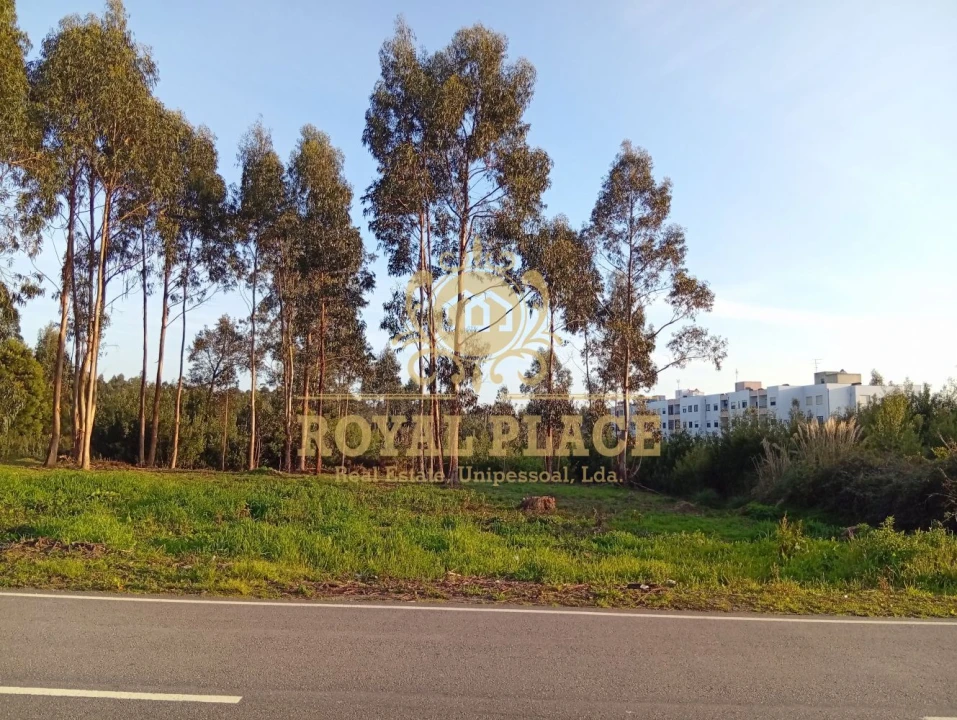 Terreno para Venda em Santa Maria de Lamas Foto 6