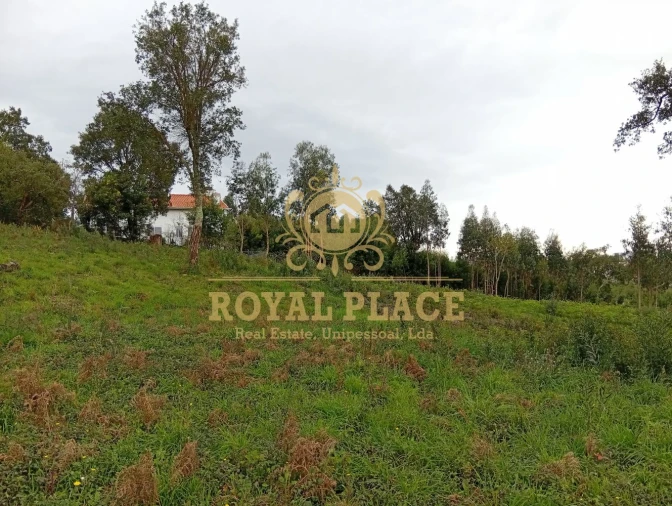 Terreno para Venda em Paços de Brandão Foto 6