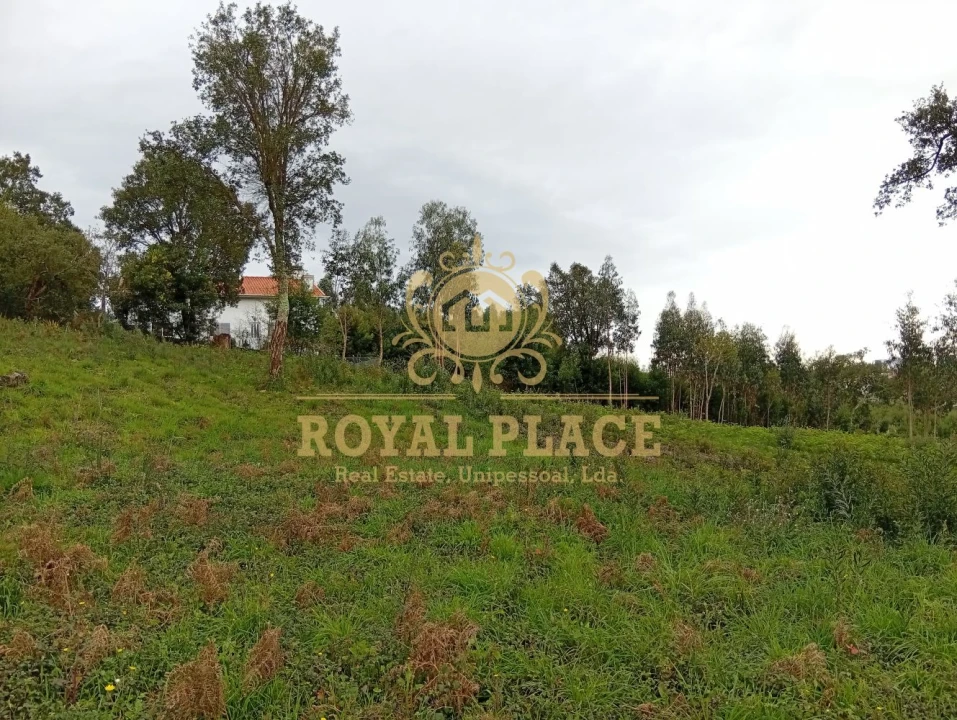 Terreno para Venda em Paços de Brandão Foto 6