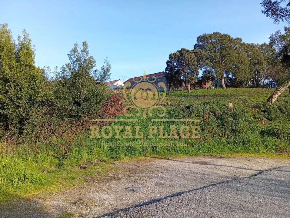 Terreno para Venda em Paços de Brandão Foto 20