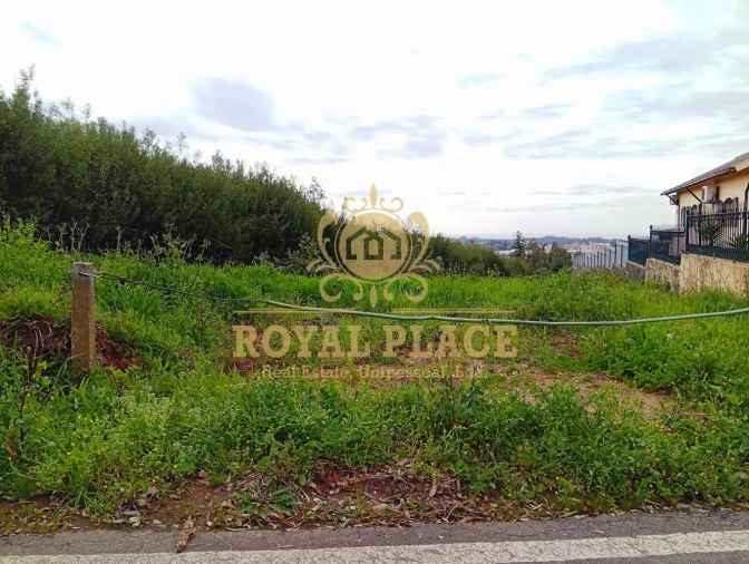 Terreno para Venda em Santa Maria de Lamas Foto 5