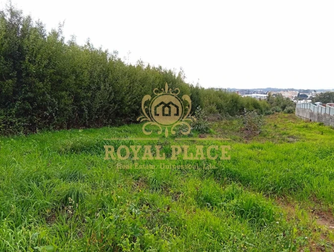 Terreno para Venda em Santa Maria de Lamas Foto 8