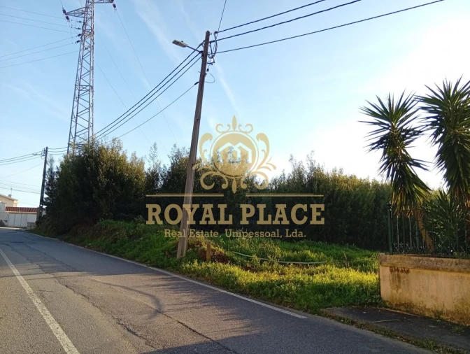 Terreno para Venda em Santa Maria de Lamas Foto 4