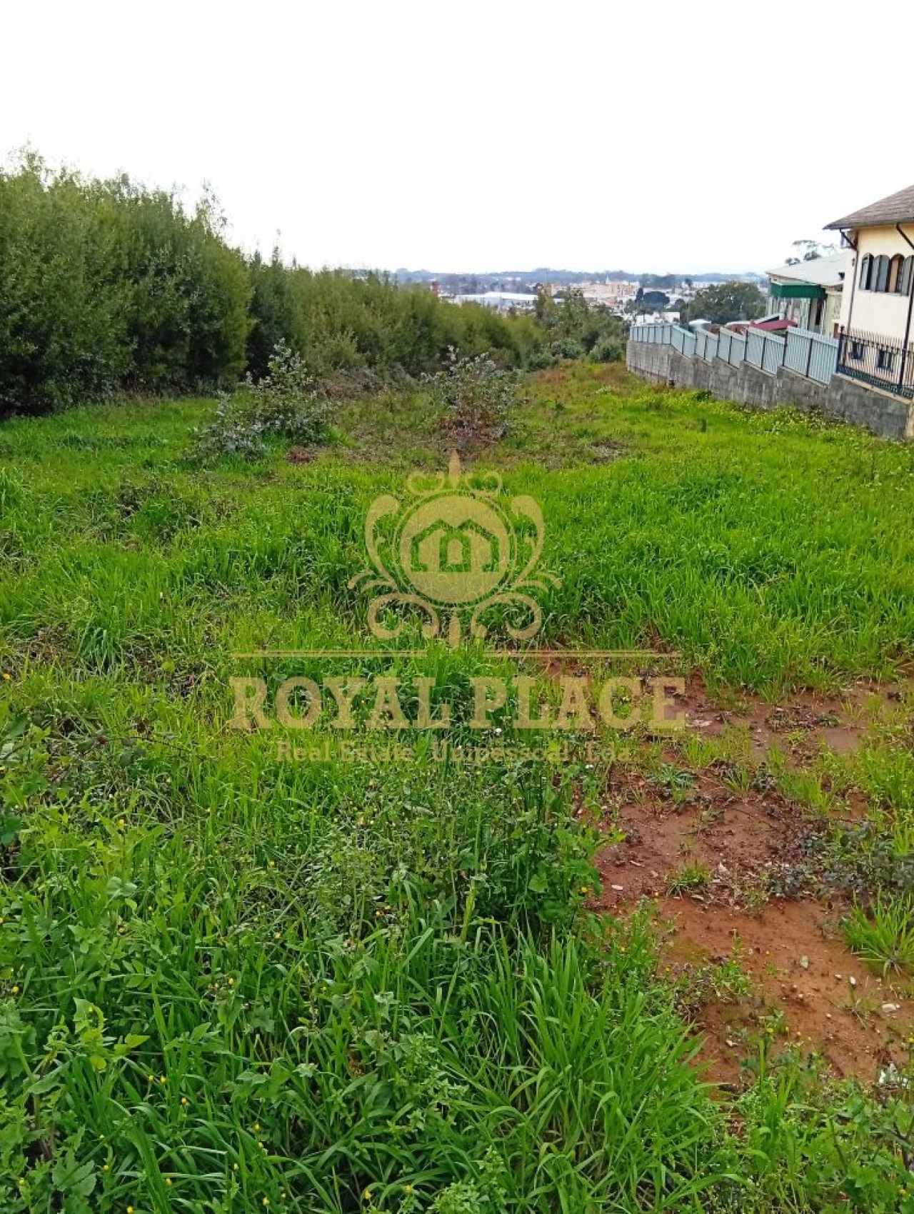 Terreno para Venda em Santa Maria de Lamas Foto 9