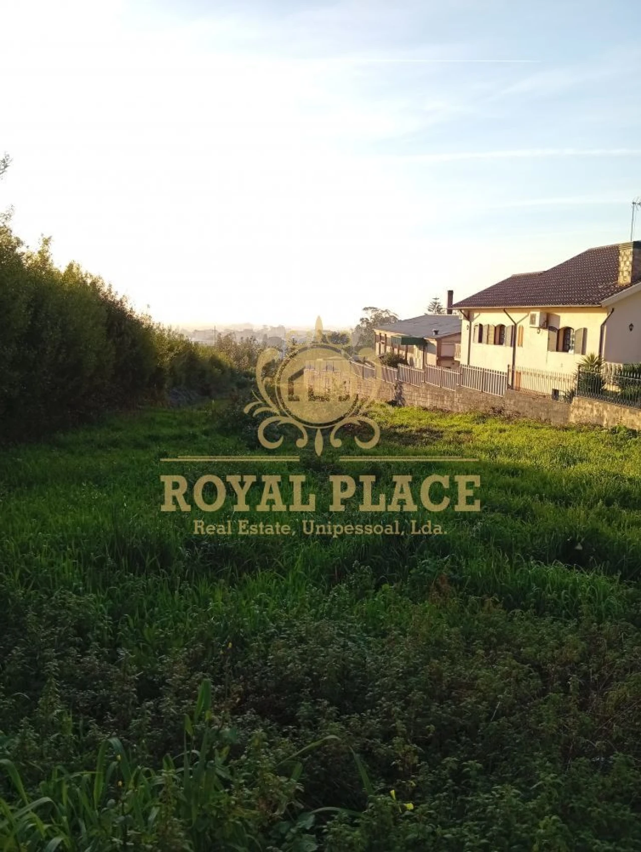 Terreno para Venda em Santa Maria de Lamas Foto 6