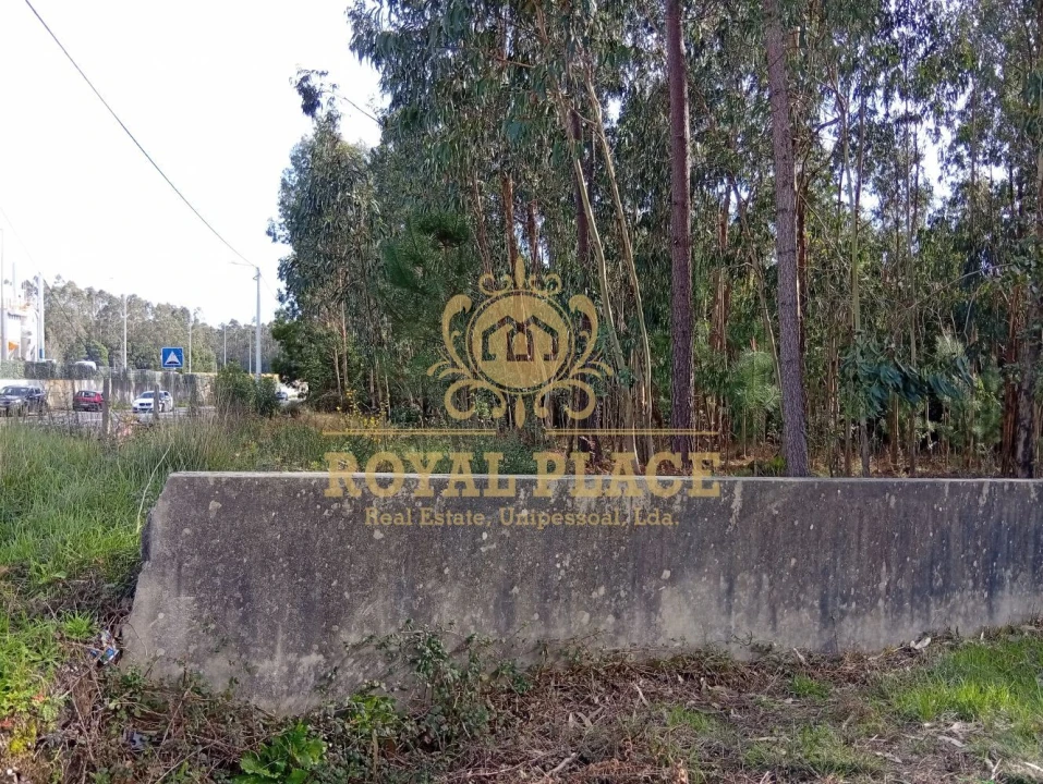 Terreno para Venda em São João de Ver Foto 15