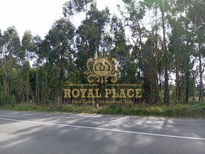 Terreno para Venda em São João de Ver Foto 8