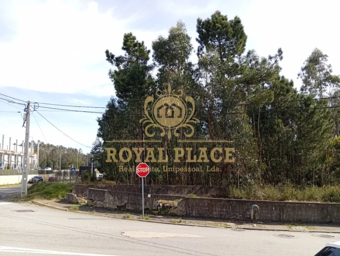 Terreno para Venda em São João de Ver Foto 11