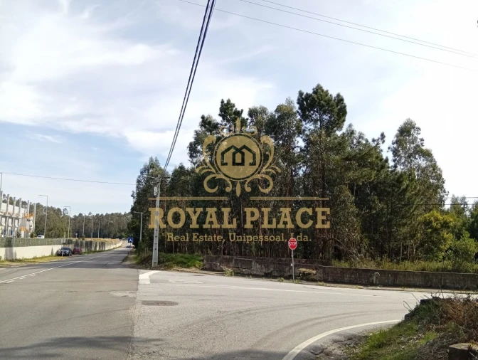 Terreno para Venda em São João de Ver Foto 14