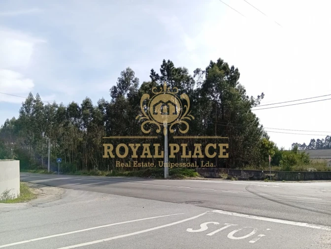 Terreno para Venda em São João de Ver Foto 12