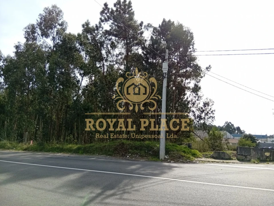 Terreno para Venda em São João de Ver Foto 13