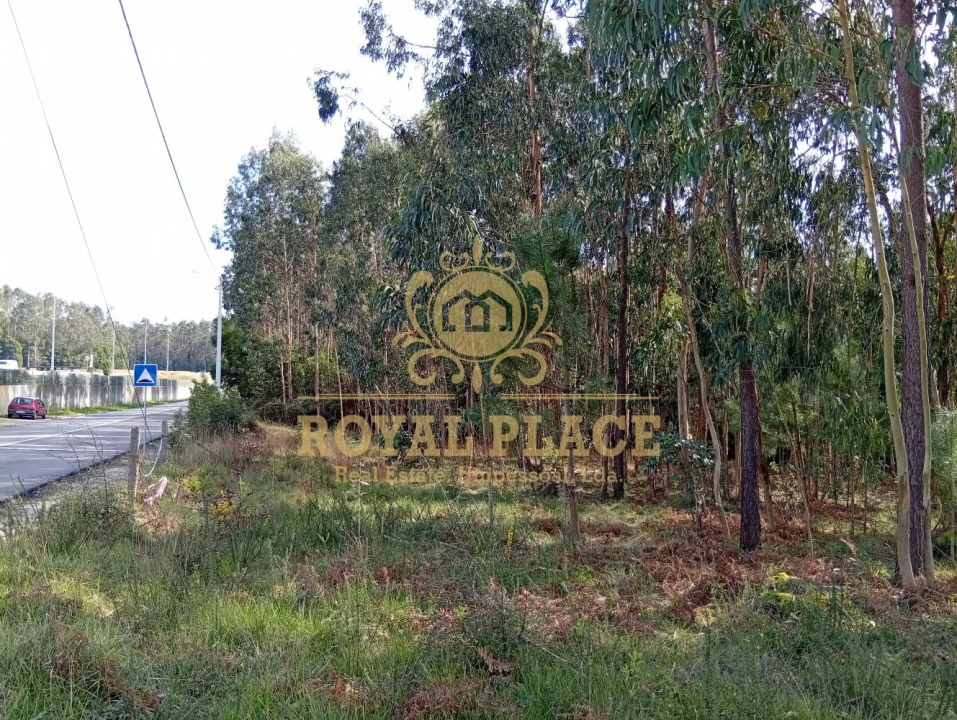 Terreno para Venda em São João de Ver Foto 9