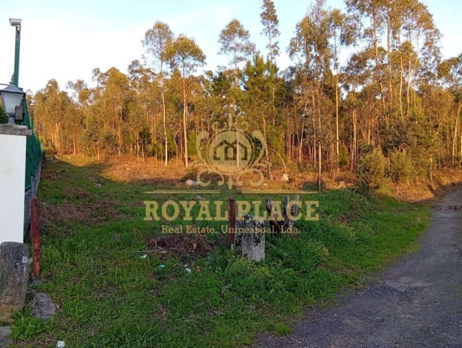 Terreno para Venda em Santa Maria de Lamas Foto 7