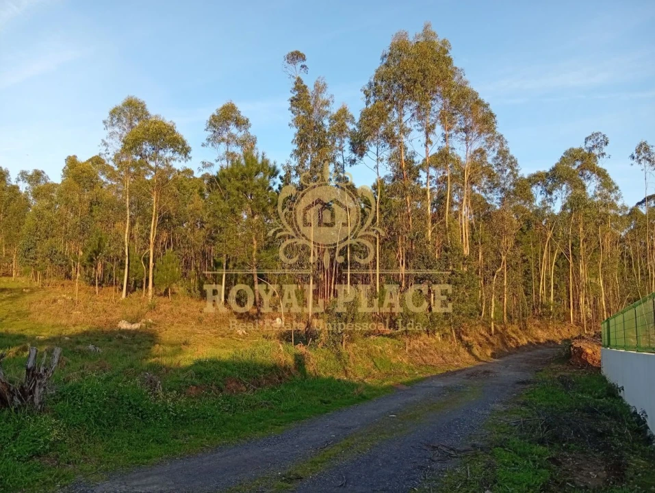 Terreno para Venda em Santa Maria de Lamas Foto 8