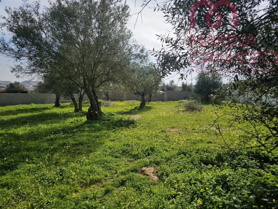 Terreno para Venda em Borba (Matriz) Foto 8