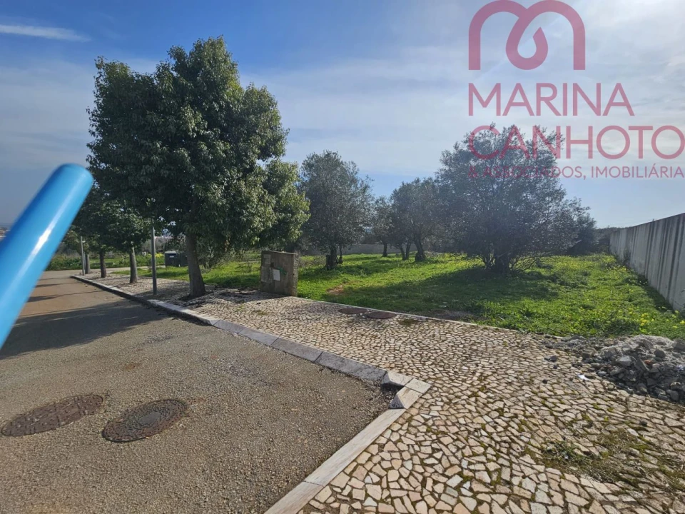 Terreno para Venda em Borba (Matriz) Foto 13