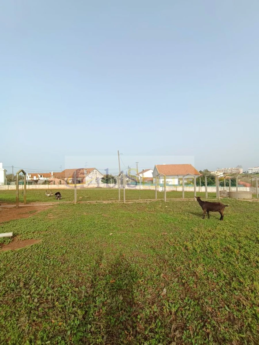 Terreno para Venda em Sesimbra (Castelo) Foto 5