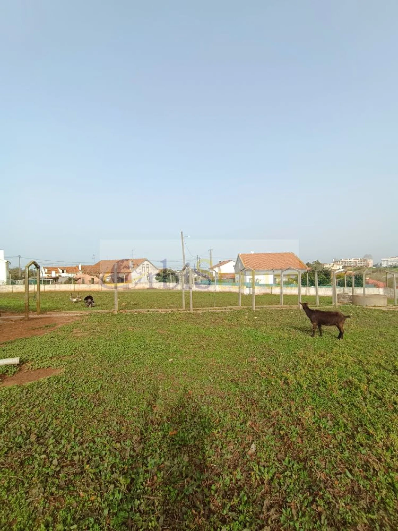 Terreno para Venda em Sesimbra (Castelo) Foto 5