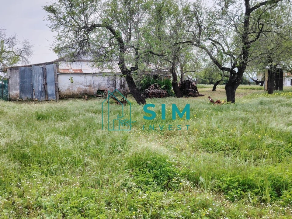 Quinta T2 para Venda em Moncarapacho e Fuseta Foto 9