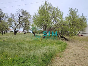 Quinta T2 para Venda em Moncarapacho e Fuseta