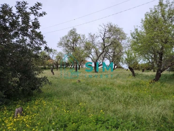 Quinta T2 para Venda em Moncarapacho e Fuseta