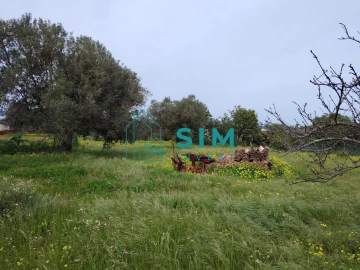 Quinta T2 para Venda em Moncarapacho e Fuseta