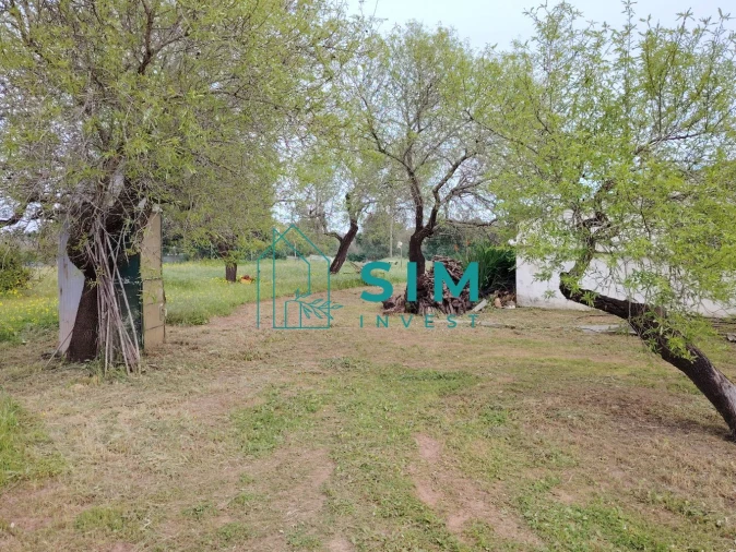 Quinta T2 para Venda em Moncarapacho e Fuseta Foto 15