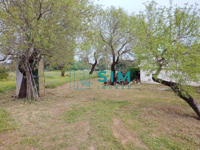 Quinta T2 para Venda em Moncarapacho e Fuseta Foto 15