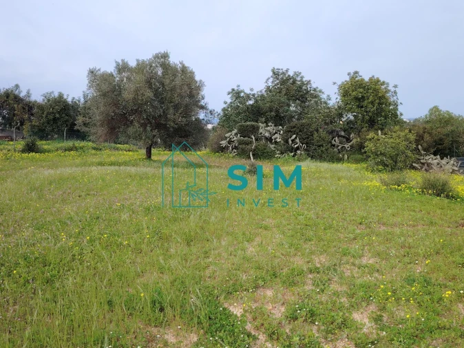 Quinta T2 para Venda em Moncarapacho e Fuseta Foto 10