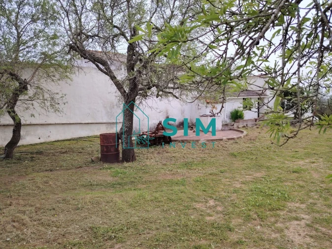 Quinta T2 para Venda em Moncarapacho e Fuseta Foto 7