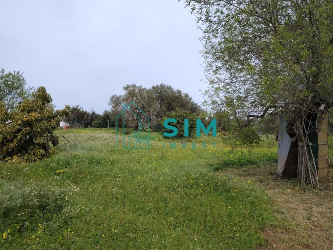 Quinta T2 para Venda em Moncarapacho e Fuseta Foto 14