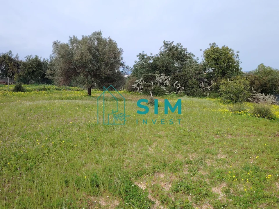 Quinta T2 para Venda em Moncarapacho e Fuseta Foto 10