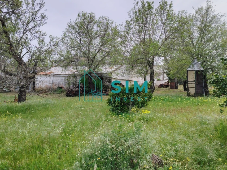 Quinta T2 para Venda em Moncarapacho e Fuseta Foto 11