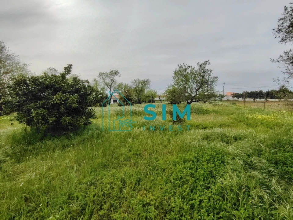 Quinta T2 para Venda em Moncarapacho e Fuseta Foto 12